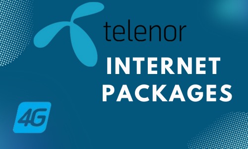 WhatsApp Image 2024 10 13 at 7.02.00 AM