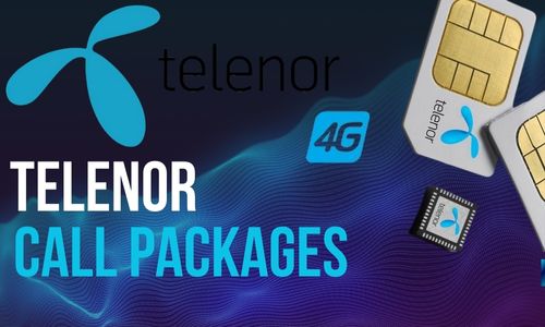 WhatsApp Image 2024 10 13 at 9.40.10 AM