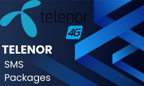 WhatsApp Image 2024 10 16 at 1.39.20 PM