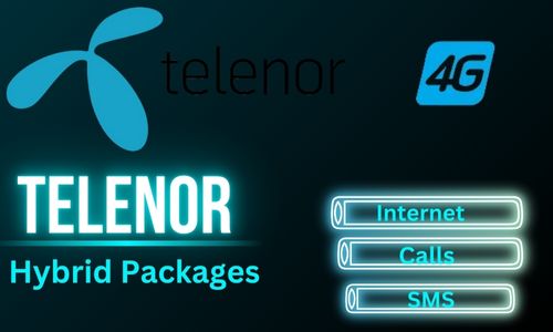 WhatsApp Image 2024 10 16 at 2.01.22 PM