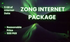 Monthly Zong Internet Package, zong monthly internet package, zong monthly internet packages, zong monthly social package, zong monthly social packages, monthly zong internet package, monthly zong internet packages, jazz internet packages