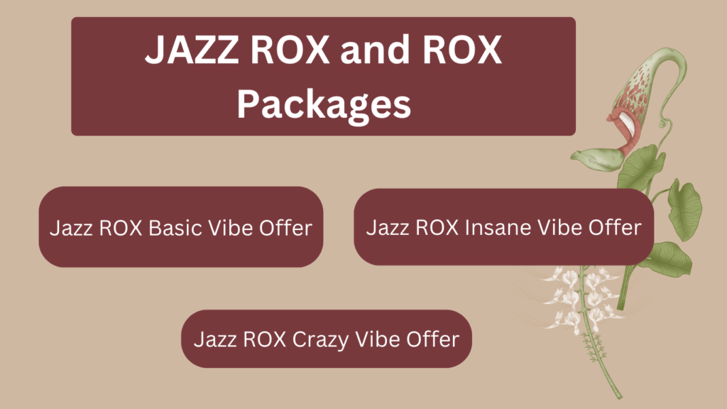 Jazz ROX Packages, jazz rox, rox, Jazz ROX Package, what are jazz rox packages, rox basic vibe offer code, jazz rox unsubscribe code, jazz rox app, jazz rox code